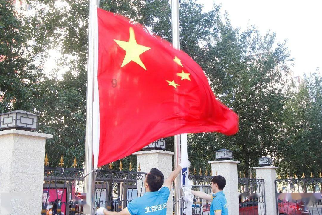 僵尸顶顶乐