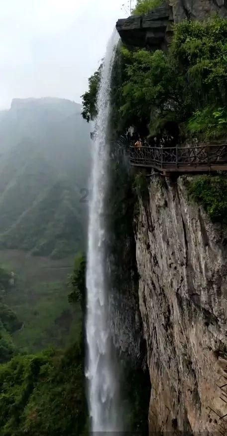 奥莉的夏威夷之旅